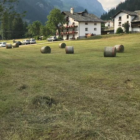 Flora Alpina Apartments-Residenza Verdebjo Gressoney-Saint-Jean Kültér fotó