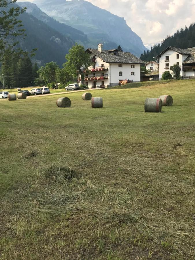 Flora Alpina Apartments-Residenza Verdebjo Gressoney-Saint-Jean Kültér fotó