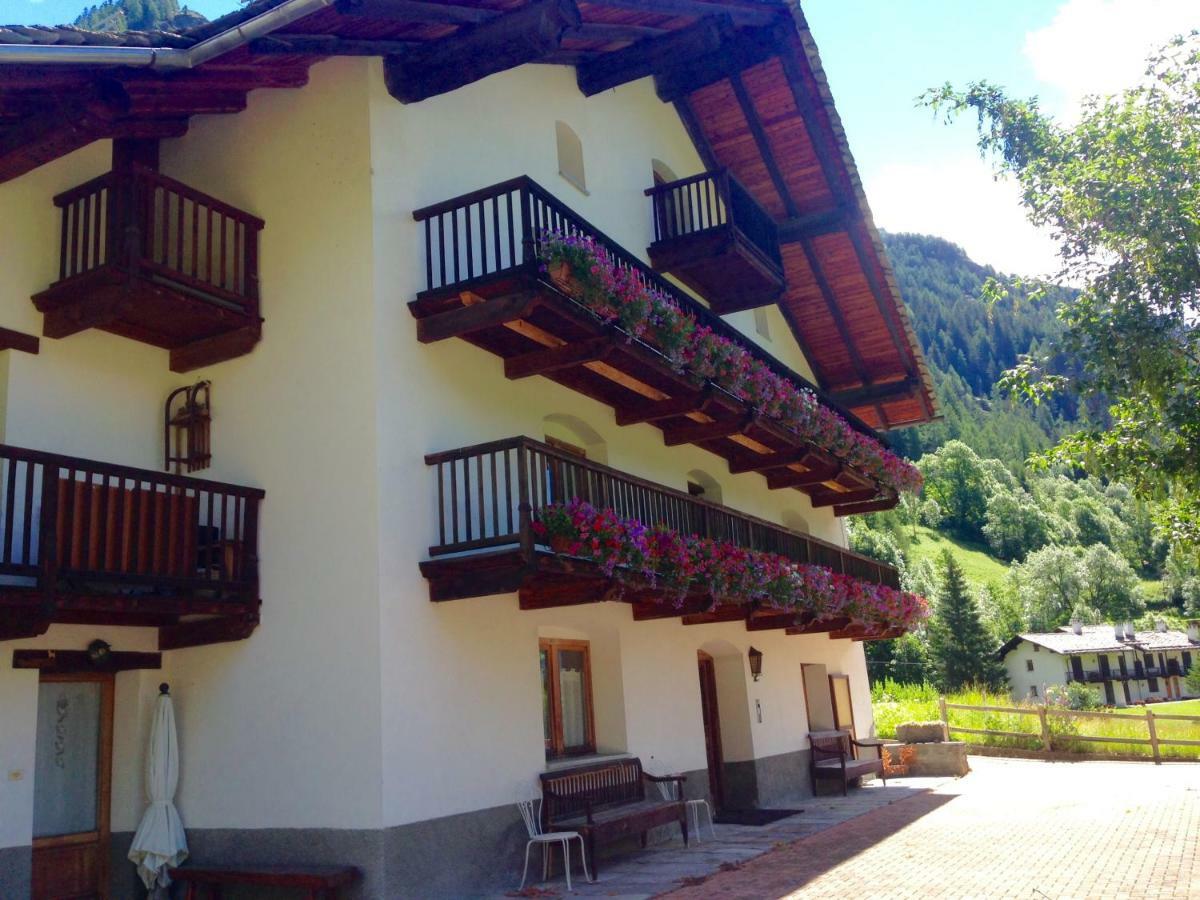 Flora Alpina Apartments-Residenza Verdebjo Gressoney-Saint-Jean Kültér fotó